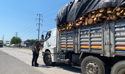 Orman emvali taşıyan araçlar tek tek kontrol edildi