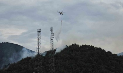 Ormanlık alandaki yangın 4 saatte kontrol altına alındı