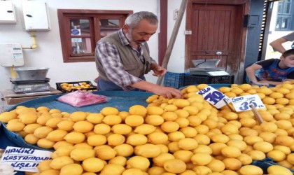 Pazarda bile kilosu 70 liraya dayanan limon