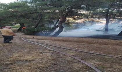 Piknik alanında çıkan yangın ormana sıçramadan söndürüldü