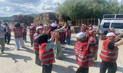 Polonez Gıda işçileri 14 gündür eylemde
