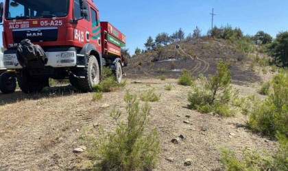 Samsunda örtü yangını