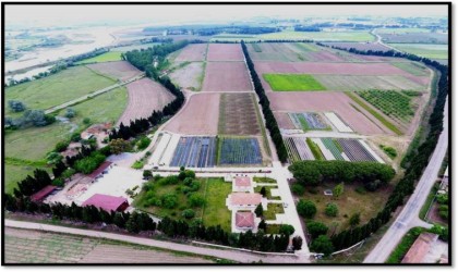 Samsunda yılda 134 türde üretilen 10 milyon fidan Türkiyeyi yeşillendiriyor