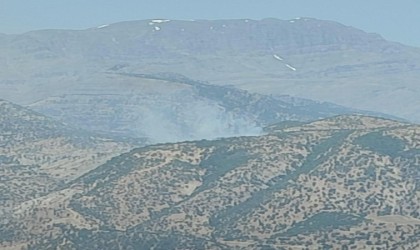 Şırnakta orman yangını