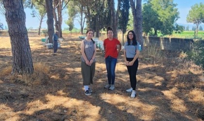Sökede arı kolonileri denetlendi