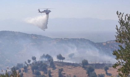 Sökedeki yangınlarda 41 milyon 250 bin TL zarar
