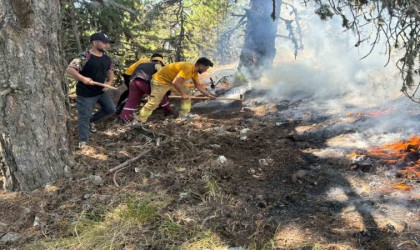 Uludağın eteklerinde korkutan yangın