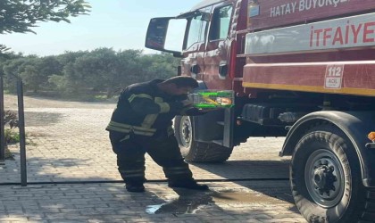Yanan evdeki hamsteri itfaiye kurtardı