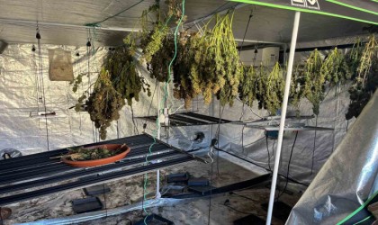 Yangın, uyuşturucu serasını ortaya çıkardı