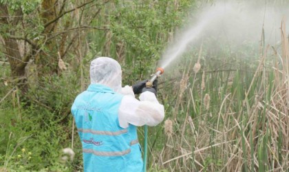 Yaz aylarında ilaçlama seferberliği
