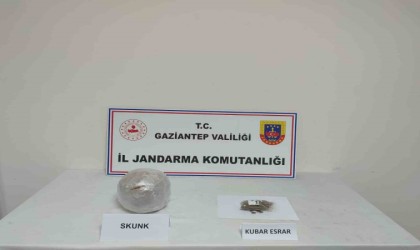 Yolcu otobüsünde 1 kilogram 750 gram skunk maddesi ele geçirildi