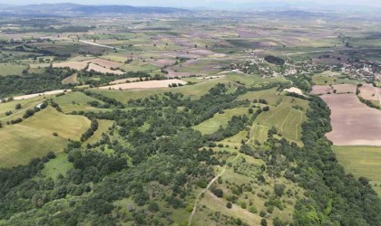 2025in en trend yatırım aracı arazi olacak