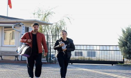 266 can dostu yeni yuvasına kavuştu