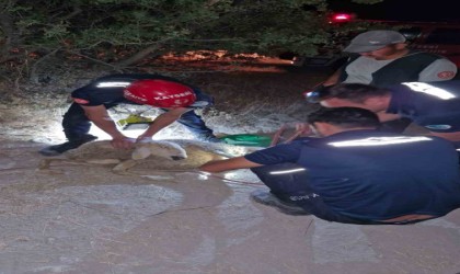 30 metrelik kuyuya düşen koyunu itfaiye kurtardı