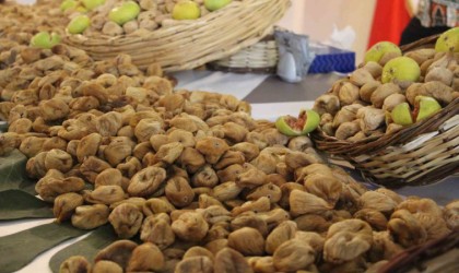 Aydın inciri altınla yarışıyor