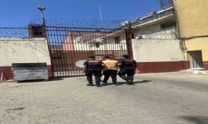 Aydında 500 kilo hayvan yemini çaldı, jandarmadan kaçamadı