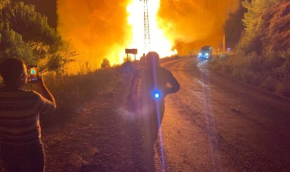 Aydında orman yangını meydana gelen 2 ilçe afet bölgesi ilan edildi