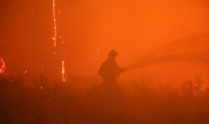 Aydındaki orman yangını kontrol altına alındı
