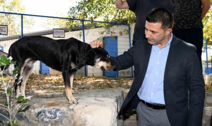 Başkan Günel: “Şartlar ne olursa olsun can dostlarımızı yaşatacağız”