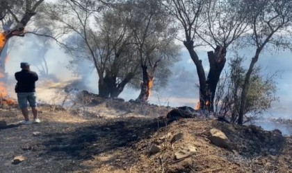 Bodrumdaki yangına müdahale sürüyor