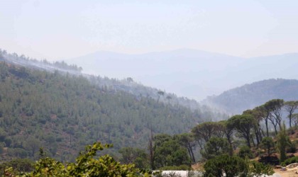 Bozdoğan yangını 45inci saatte devam ediyor