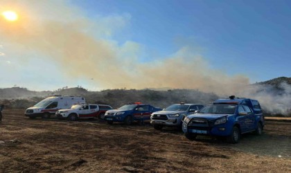 Bozdoğandaki yangın kontrol altına alındı
