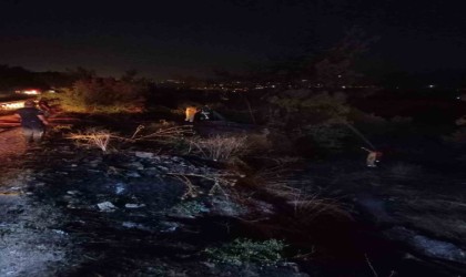 Bursada korkutan orman yangını