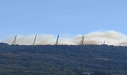 Bursada orman yangını