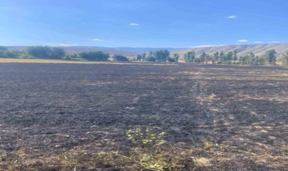 Çankırıda ot yangını