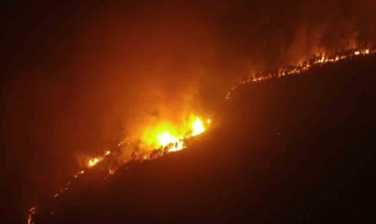 Çankırıdaki yangın 6 saattir sürüyor: Kuvvetli rüzgar müdahaleyi zorlaştırıyor