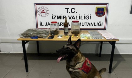 Çeşmede jandarmadan zehir tacirine şafak operasyonu