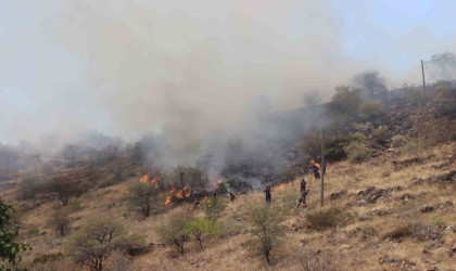 Dağlık alanda yangın çıktı, ekipler yerleşim yerlerine ulaşmaması için yoğun çalışma başlattı