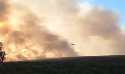 Didimdeki makilik yangınında çalışmalar devam ediyor