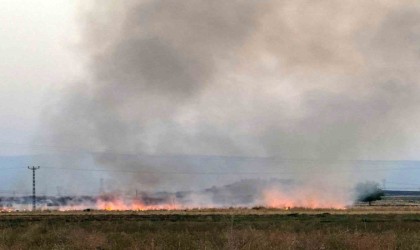 Diyarbakırda anız yangını