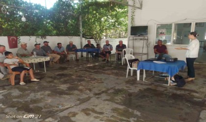 Efelerde incirde dikkat edilmesi gerekilenler anlatıldı