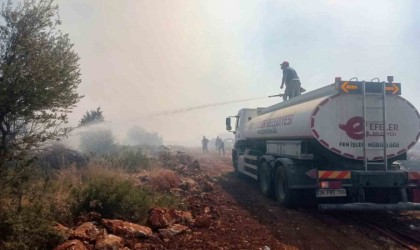 Efelerin ekipleri yangınları söndürmek için çalışıyor