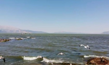 Eğirdir Gölü su kirliliği martı popülasyonunu azaltıyor
