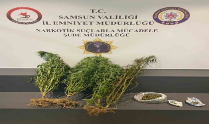 Evinde kubar esrar ele geçirilen şahıs tutuklandı