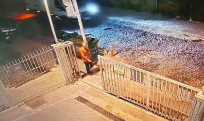 İstanbulda zihinsel engelli adama sokak köpeklerinin saldırısı sonucu hayatını kaybetti