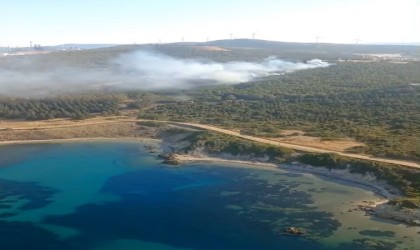 İzmirde orman yangını