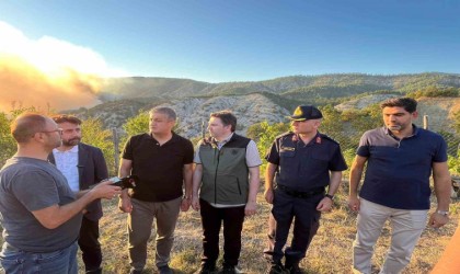 Karabük Valisi Yavuz: Yangın 40 hektarlık alanda etkisini devam ettiriyor