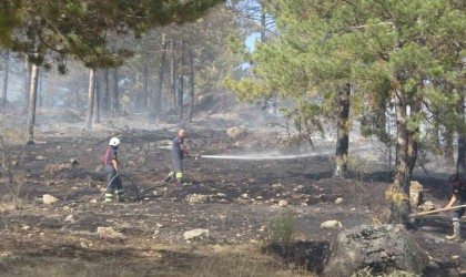 Kastamonuda çıkan orman yangını söndürüldü