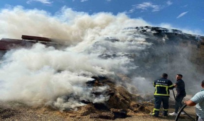 Mandıraya yıldırım düştü: Yüzlerce saman balyası küle döndü