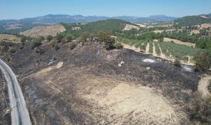 Manisadaki orman yangını kontrol altında