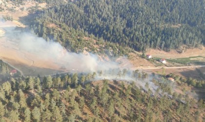 Osmaniyede orman yangını