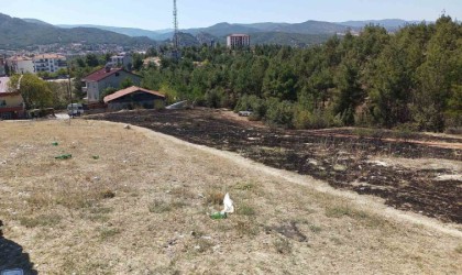 Sinopta ot yangını