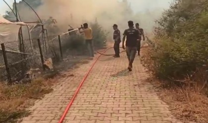 Söke Kaymakamı Akça: “Arkadaşlarımız canla başla müdahale ediyor”