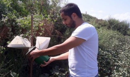 Sökede pamuk tarlalarında zararlı kontrolü yapıldı