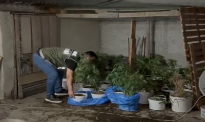 Sultangazide evinin çatı katında uyuşturucu yetiştiren şahıs polise yakalandı
