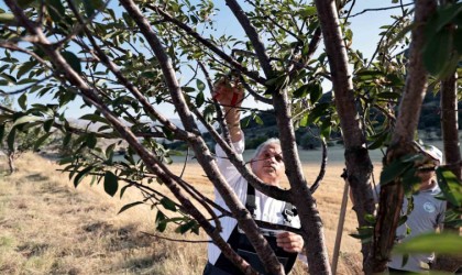 Talasın bahçıvan başkanı